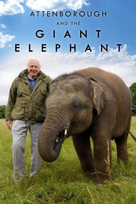 Attenborough and the Giant Elephant